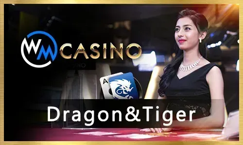 Fachai Slot Games